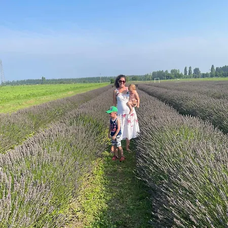 Lejlighed Le Dimore Di Lisa Vo (Vicenza)